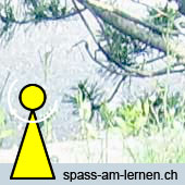 spass-am-lernen.ch ::: Home
